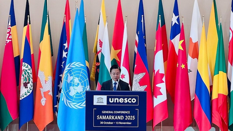 Замминистра иностранных дел Нго Ле Ван выступает на пленарном заседании высокого уровня. Фото: ВИА