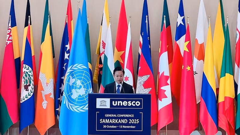 Замминистра иностранных дел Нго Ле Ван выступает на пленарном заседании высокого уровня. Фото: ВИА