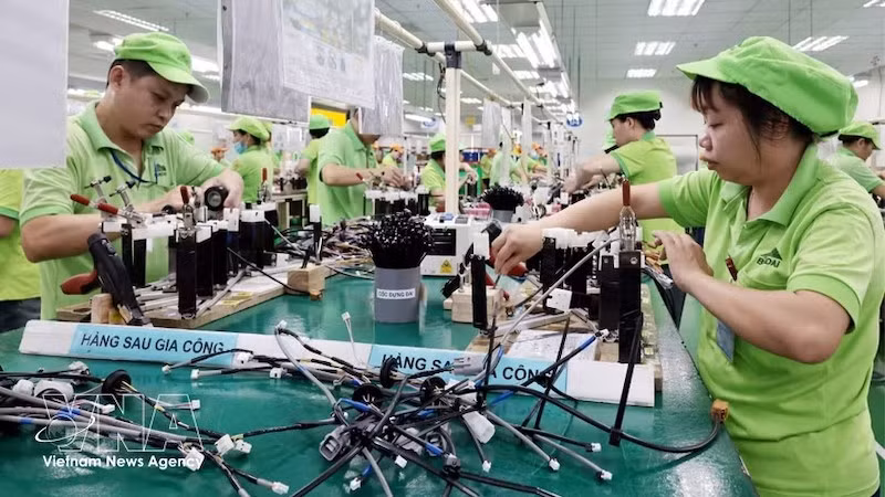 Производственная линия по выпуску жгутов электропроводки на заводе компании Bandai Vietnam в промышленной зоне Бо Чай (район Хоабинь, провинция Футхо). Фото: ВИА