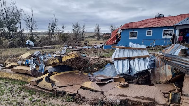 Фото: Правительство провинции Восточно-Капской провинции/Синьхуа