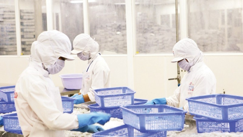 Переработка морепродуктов на заводе в городе Кантхо. Фото: Дык Ань