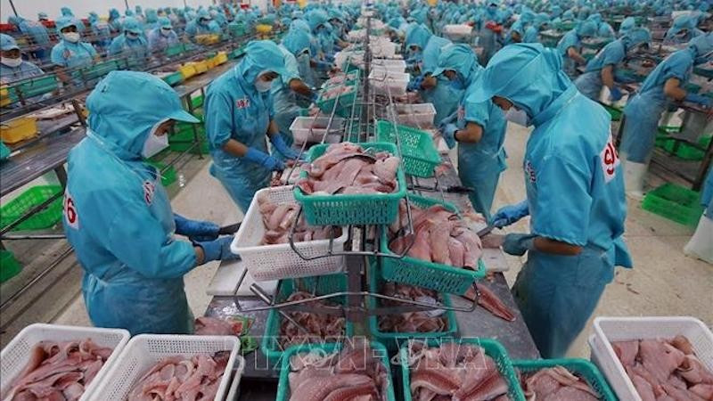 Морепродукты являются одним из ключевых товаров Вьетнама, экспортируемых в Бразилию. Фото: ВИА