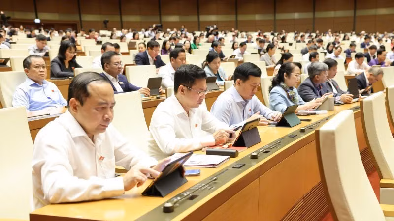 Общий вид пленарного заседания 24 октября. Фото: Зюи Линь