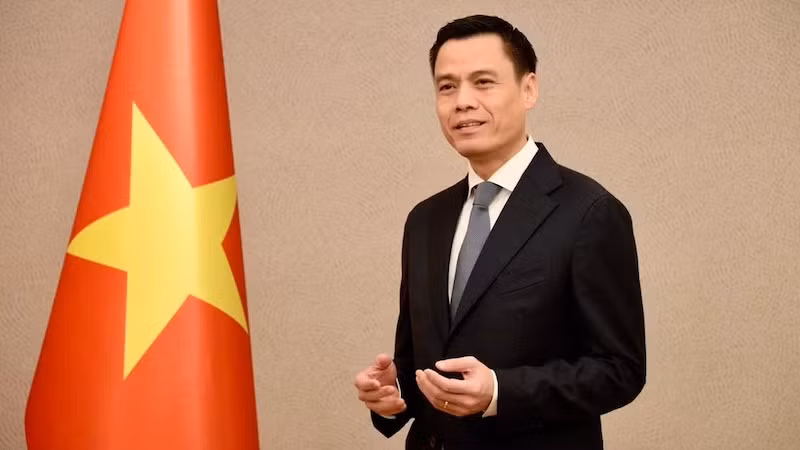 Заместитель министра иностранных дел Данг Хоанг Зянг.