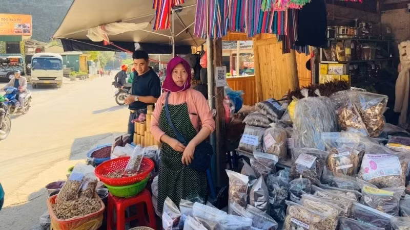 Одной из причин привлекательности Вьетнама для иностранных туристов является местные культурные впечатления.