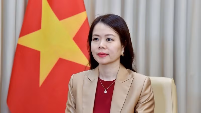 Заместитель министра иностранных дел Нгуен Минь Ханг. Фото: МИД Вьетнама