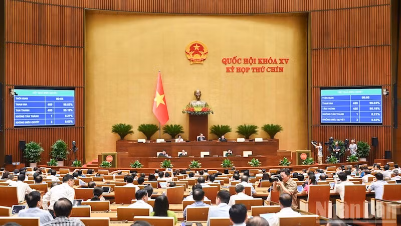 Общий заседания 12 июня. Фото: Зюи Линь