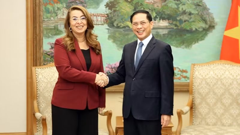 Вице-премьер Буй Тхань Шон и г-жа Гада Вали. Фото: VGP