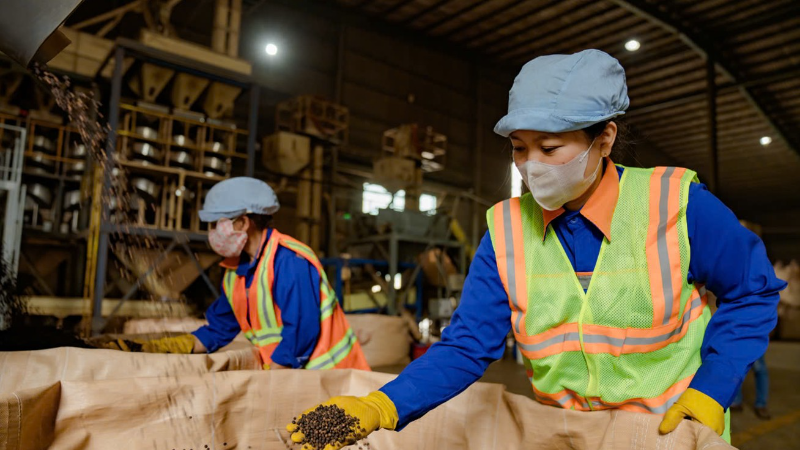 В 2025 году экспорт кофе установил новый рекорд, достигнув 8,9 млрд долларов США.