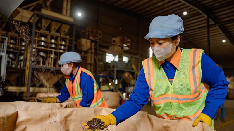 В 2025 году экспорт кофе установил новый рекорд, достигнув 8,9 млрд долларов США.