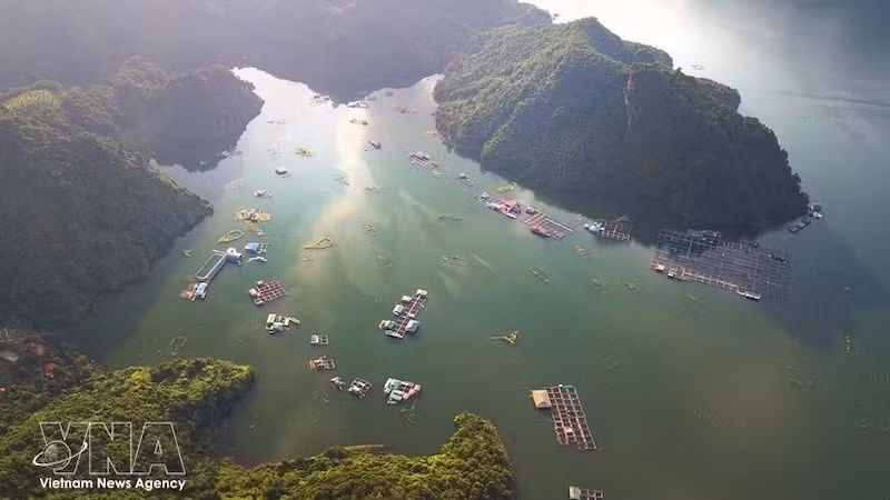 Кристально чистая вода и живописные, величественные пейзажи водохранилища гидроэлектростанции Хоабинь делают его одним из самых привлекательных туристических направлений, которое трудно обойти вниманием. Фото: ВИА