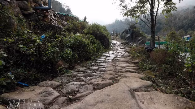 Раскрытие потенциала развития экологического туризма на древней каменной дороге, соединяющей Лайчау и Лаокай