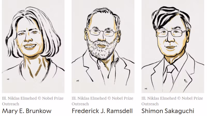 Портрет трёх учёных — лауреатов Нобелевской премии по медицине 2025 года. (Фото: Nobelprize.org)