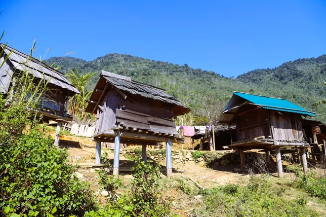 Склад продовольственных запасов у представителей народности Монг в деревне Хуой Ман спроектирован в два уровня, выполнен из дерева и покрыт деревянной кровлей из саму; он расположен отдельно от жилых домов и служит для хранения риса, клубневых культур (маниока, батат) и кукурузы. (Фото: ВИА)
