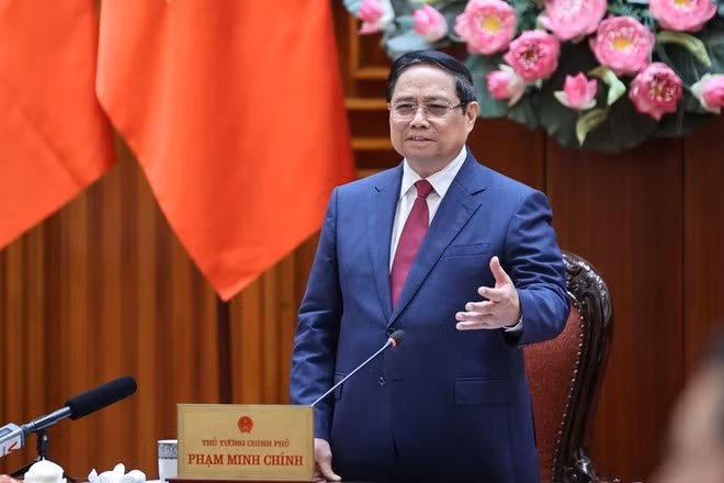 Премьер-министр Фам Минь тьинь выступает. (Фото: VGP)