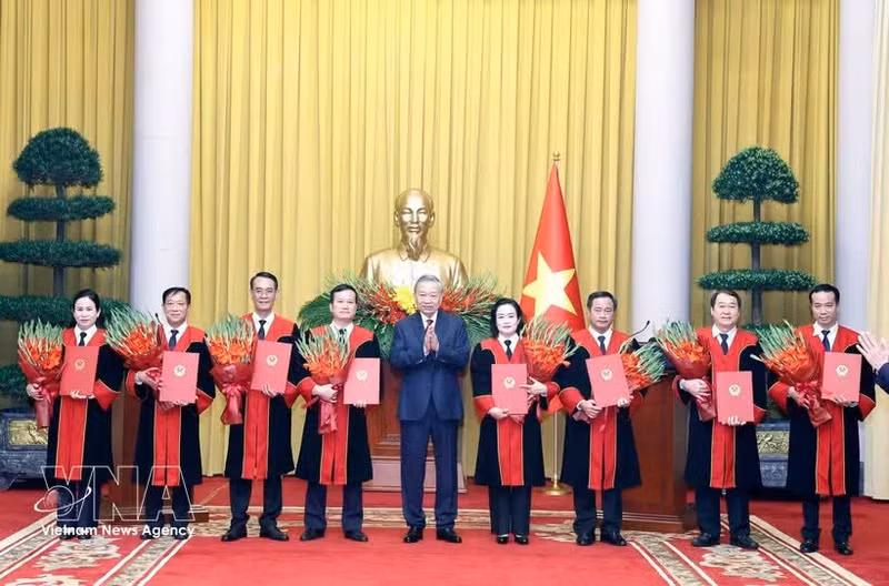 Генсекретарь, Президент То Лам вручил решения о назначении на должности судей Верховного народного суда. (Фото: ВИА)