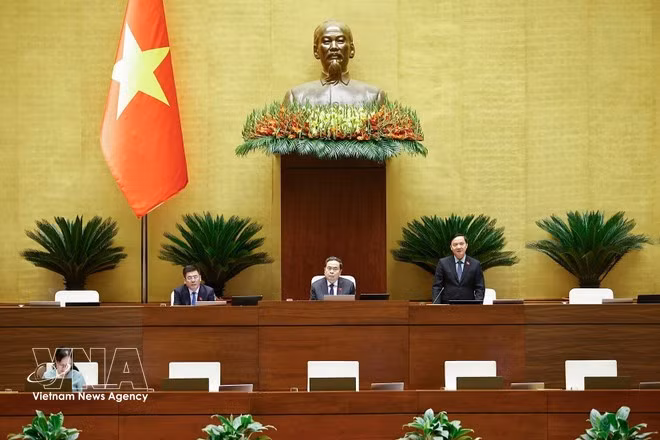 Заместитель председателя Национального собрания Нгуен Кхак Динь выступает. (Фото: ВИА)