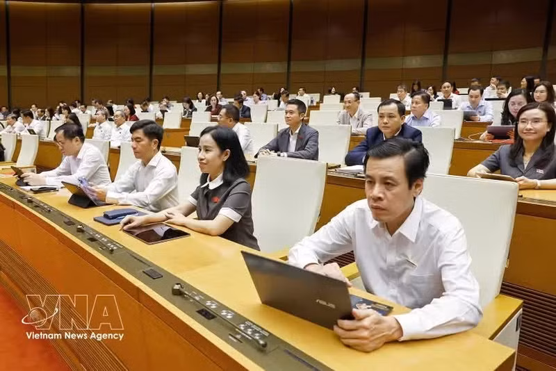 Делегация депутатов Национального собрания города Хошимина на заседании. (Фото: ВИА)