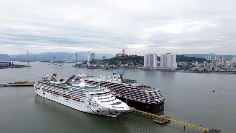 Два круизных лайнера Westerdam и Star Voyager швартуются у Международного пассажирского порта Халонг в провинции Куангнинь. (Фото: ВИА)