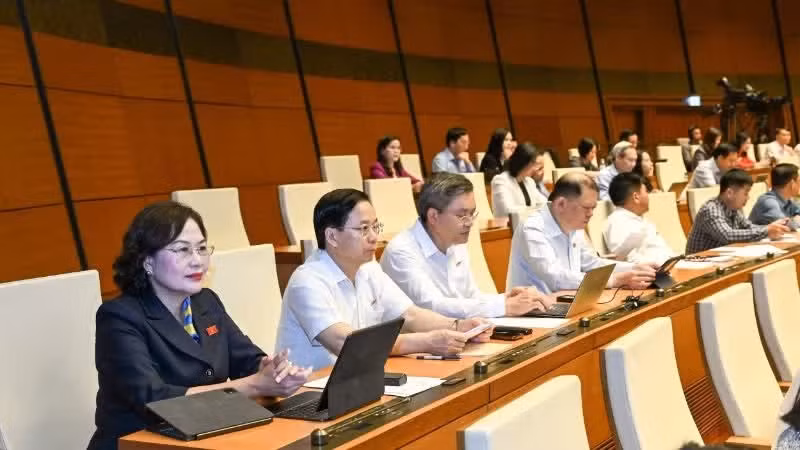 Депутаты Национального собрания работают в зале заседаний. (Фото: Зюи Линь)