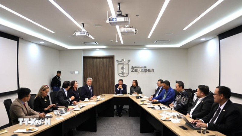 Делегация АСЕАН на встрече с руководством города Сапопан, штат Халиско. (Фото: ВИА)