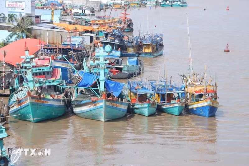 Необходимо модернизировать электронную систему прослеживаемости, обеспечив её прозрачность и эффективность в борьбе с незаконным промыслом водных биоресурсов. Иллюстративное фото. (Источник: ВИА)