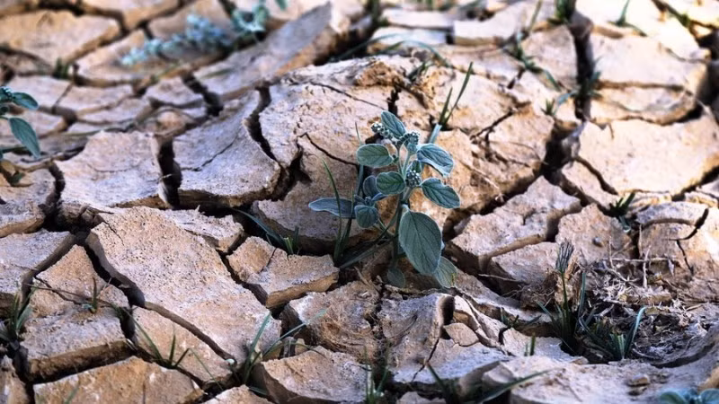 Иллюстративное фото: Синьхуа