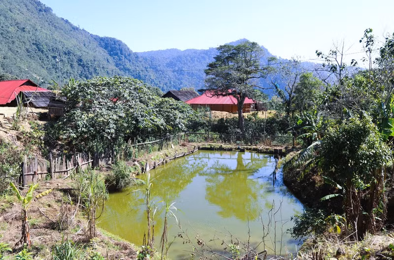 Жители деревни Хуой-ман переграждают водные потоки, укрепляют берега и создают пруды для разведения рыбы, обеспечивая тем самым источник продовольствия для своих семей. (Фото: ВИА)