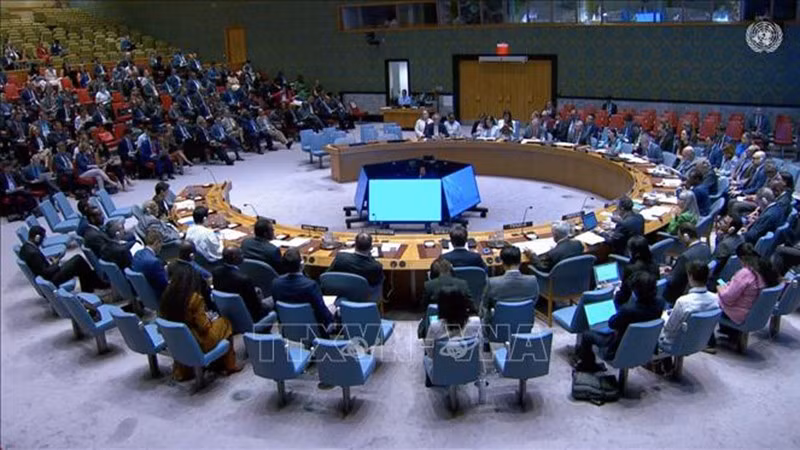 Общий вид мероприятия. Фото: ВИА