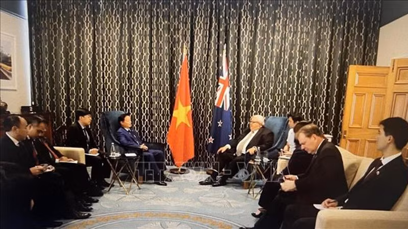 Вице-премьер Чан Хонг Ха наносит визит вежливости Председателю Парламента Новой Зеландии Джерри Браунли. (Фото: ВИА)