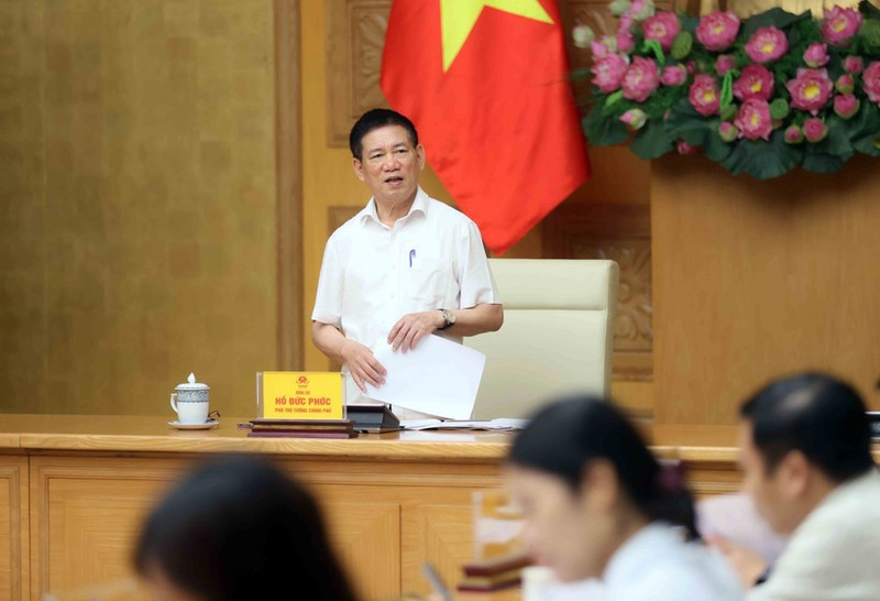 Заместитель премьер-министра Хо Дык Фок председательствует на заседании Руководящего комитета. (Фото: ВИА)