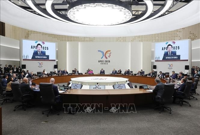 Президент Лыонг Кыонг принял участие в Саммите 32-го Форума APEC (Фото: ВИА)