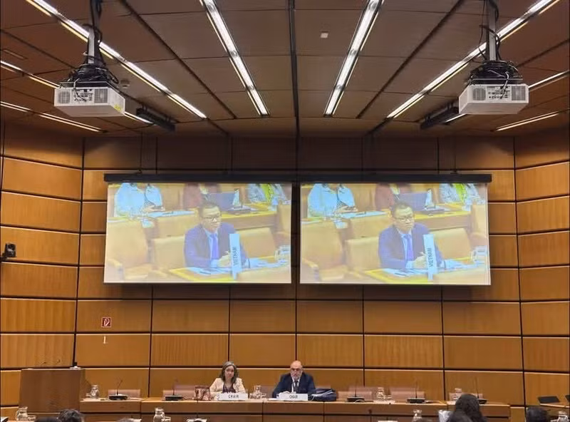 Посол Ву Ле Тхай Хоанг выступает на встрече.