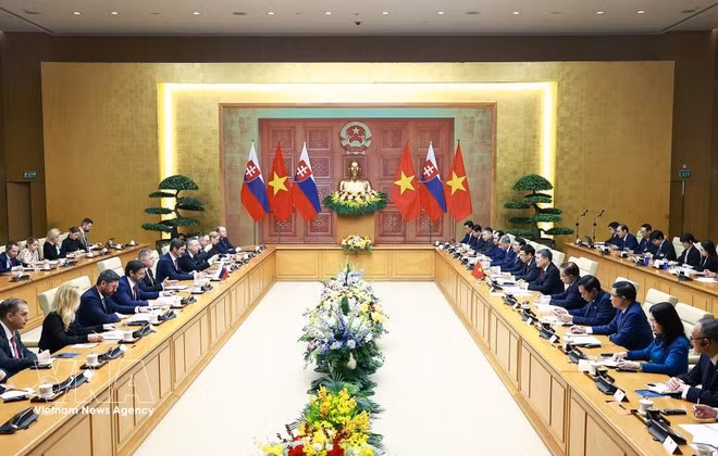 Премьер-министр Правительства Ле Минь Хынг проводит переговоры с Премьер-министром Словацкой Республики Робертом Фицо. (Фото: ВИА)