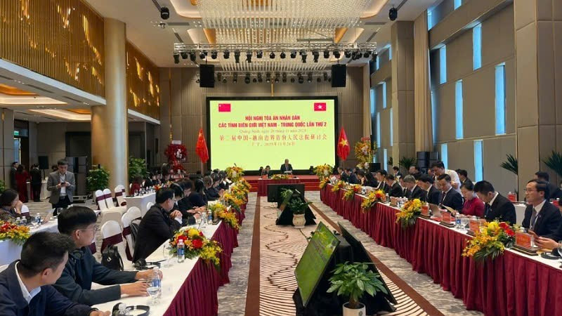 Общий вид конференции.