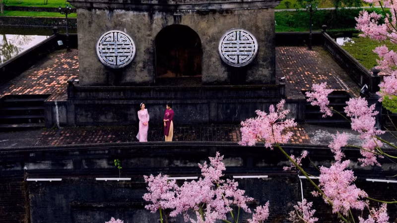 Согласно летописи «Дайнамняттхонгтьи», при Императоре Минь Манге двор направлял знатоков растений в горные районы, чтобы отыскать местные виды нгодонг и привезти их для посадки в Императорской цитадели.