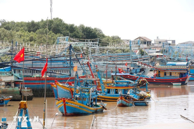 Преодоление «жёлтой карточки» ННН-промысла на основе цифровых платформ управления рыболовными судами. (Фото: ВИА)