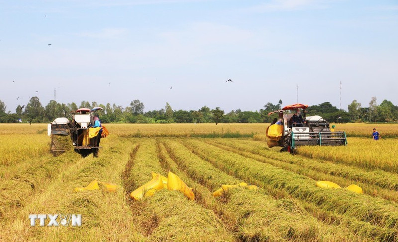 Прорывные меры политики и оперативность их реализации вселяют в людей большие ожидания относительно нового качества жизни. (Фото: ВИА)