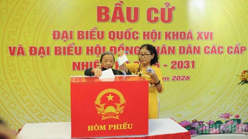 Избиратели квартала Хайтяу (Дананг) голосуют на выборах.