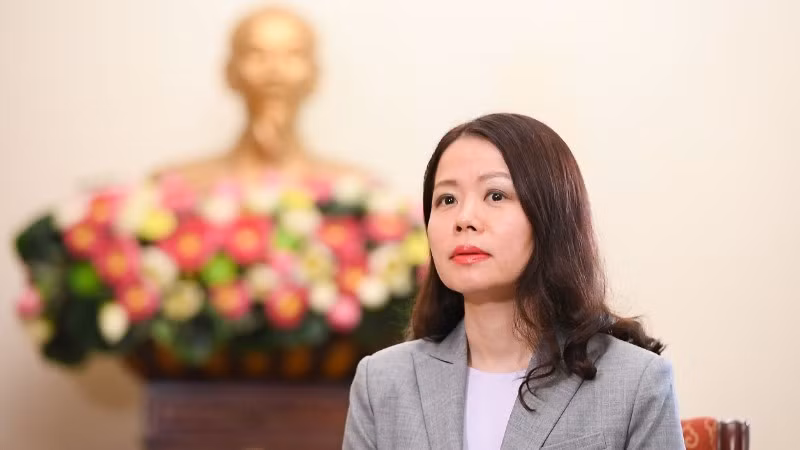 Заместитель министра иностранных дел Вьетнама Нгуен Минь Ханг. Фото: МИД Вьетнама