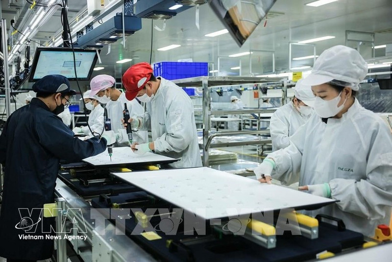 Производственная деятельность компании с ограниченной ответственностью Regza Vietnam Electronics, расположенной на территории провинции Донгнай. (Фото: ВИА)
