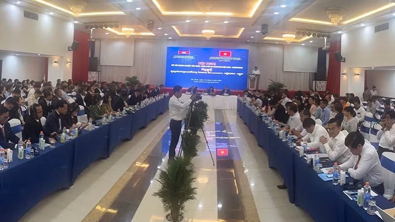 Общий вид конференции.