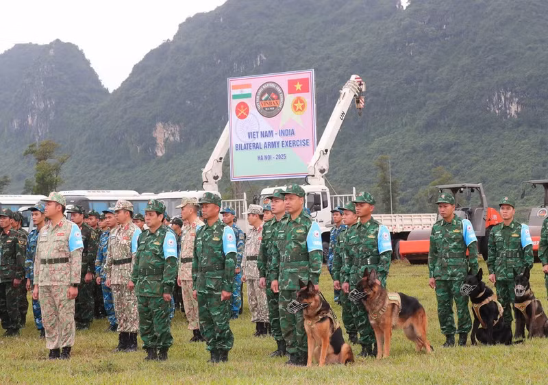 Офицеры и военнослужащие Вьетнама принимают участие в учениях. (Фото: ВИА)