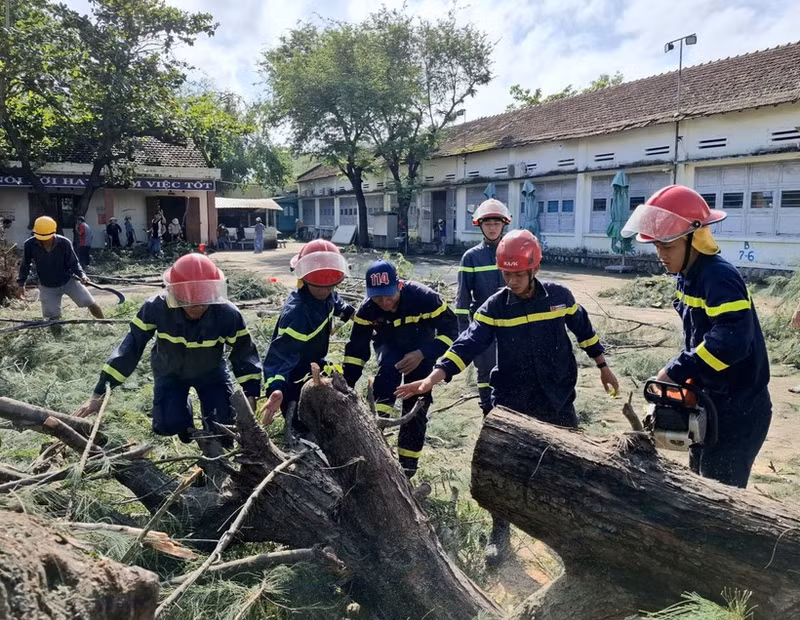 Устранение последствий падения деревьев на территории средней школы им. Нгуен Хонг Шона, квартал Суандай, провинция Даклак. (Фото: ВИА)