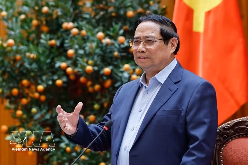 Премьер-министр Фам Минь Тьинь выступил на заседании. (Фото: ВИА)