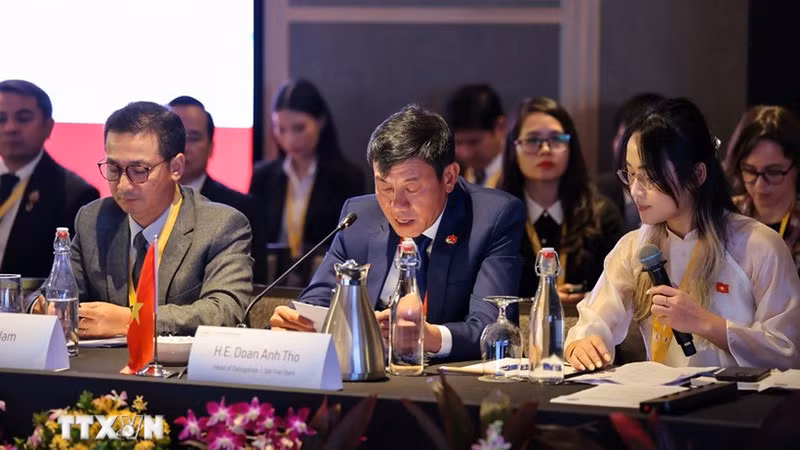 Заместитель генерального аудитора Вьетнама Доан Ань Тхо выступает на мероприятии. (Фото: ВИА)