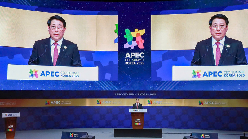 Президент Лыонг Кыонг выступает на саммите АТЭС. (Фото: Суан Ки)