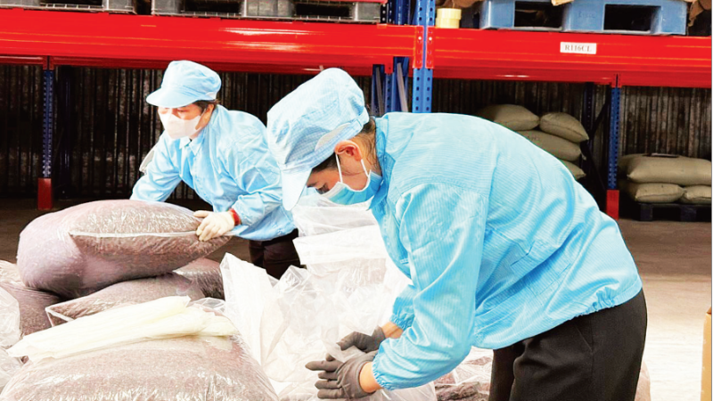 Упаковка специальной кофейной кожуры (чая каскара) для экспорта на предприятии «Simexco DakLak». (Фото: Минь Ань)