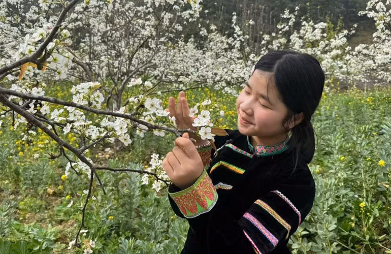 Весной грушевые сады Фобанга пышно цветут, формируя поэтичные пейзажи.