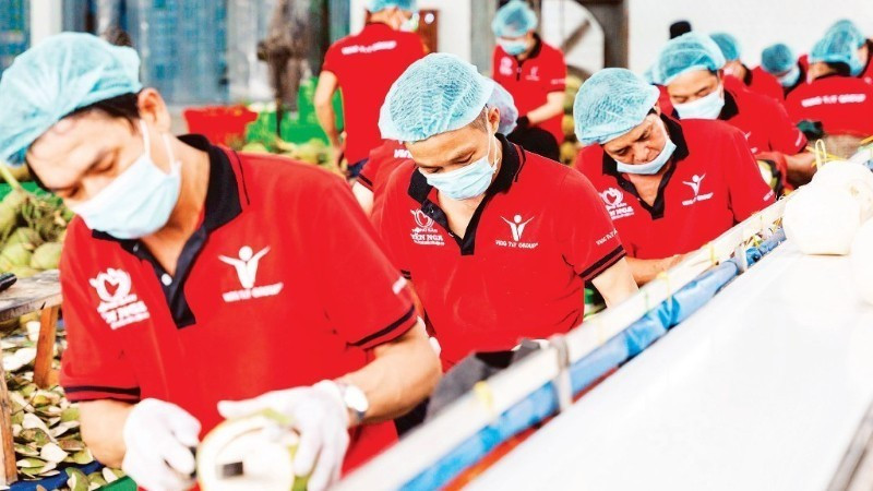 Предварительная обработка кокосов для экспорта на предприятии Vina T&T Group. (Фото: nhandan.vn)